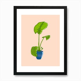 Monstera Plant In A Pot 2 Art Print