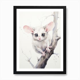 Light Watercolor Painting Of A Sugar Glider 2 Art Print