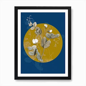 Vintage Botanical White Pea Flower on Circle Yellow on Blue Art Print