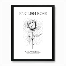 English Rose Geometric Line Drawing 2 Poster Art Print