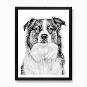 Black And White Dog Portrait Art Print