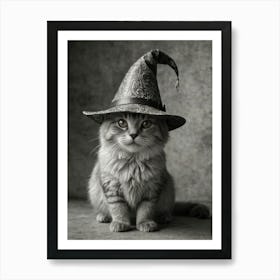 Witches Hat Art Print