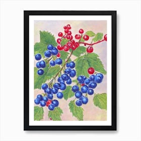 Redcurrant 1 Vintage Sketch Fruit Art Print