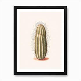 Pincushion Cactus Marker Art 3 Art Print