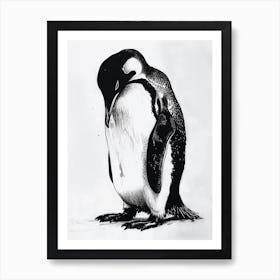 King Penguin Preening Their Feathers 2 Art Print