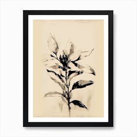 Sunflowers, Ink On Paper Drawing 1 Art Print