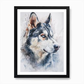 Siberian Husky Watercolor Painting 3 Art Print