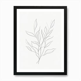 Eucalyptus 4 Art Print