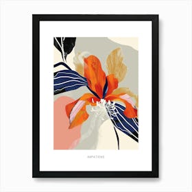 Colourful Flower Illustration Poster Impatiens 1 Art Print