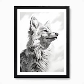Tibetan Sand Fox Portrait Pencil Drawing 5 Art Print