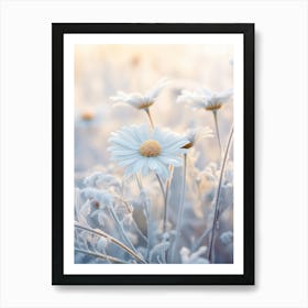 Frosty Botanical Oxeye Daisy 3 Poster