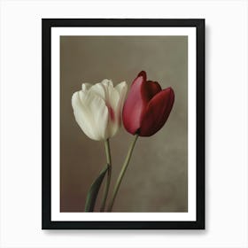 Poster Tulips 1 Art Print