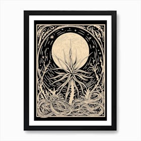 B&W Plant Illustration Air Plant Art Print