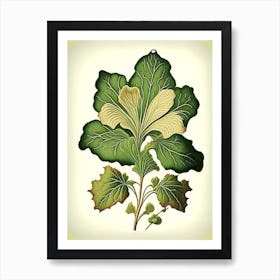 Primrose Leaf Vintage Botanical 1 Art Print