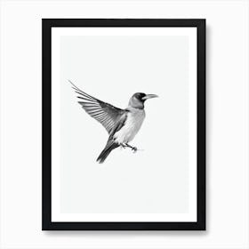 Raven B&W Pencil Drawing 2 Bird Art Print