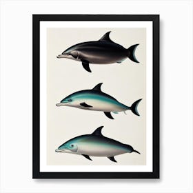 Bottlenose Dolphin Vintage Poster Art Print