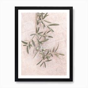 Olive 1 Art Print