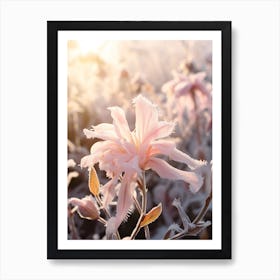 Frosty Botanical Honeysuckle 1 Art Print