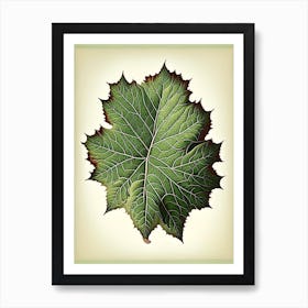 Sycamore Leaf Vintage Botanical 4 Art Print