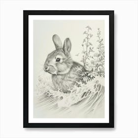 Polish Rabbit Drawing 4 Art Print