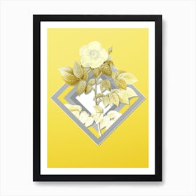Botanical Leschenault's Rose in Gray and Yellow Gradient n.032 Art Print