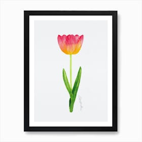 Tulip4 Art Print