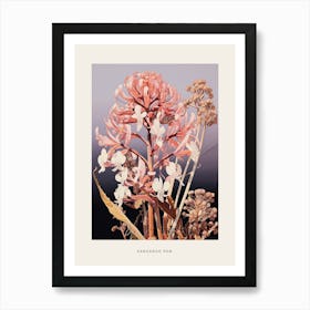 Flower Illustration Kangaroo Paw Flower 2 Poster Art Print