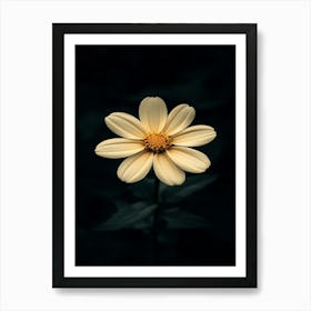 Daffodil 4 Art Print