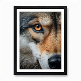 Indian Wolf Eye 4 Art Print