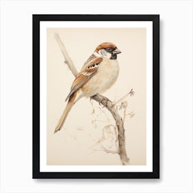 Vintage Bird Drawing Sparrow 3 Art Print