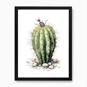 Zebra Cactus Watercolour Drawing 2 Art Print