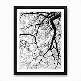 Durban Forest Art Print