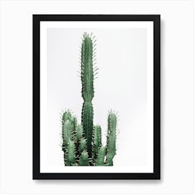 Cactus Red II Art Print