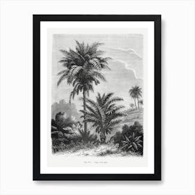 Vintage Landscape Drawing With Palm Trees Art Print