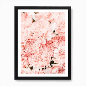 Pink Carnation Flowers Art Print