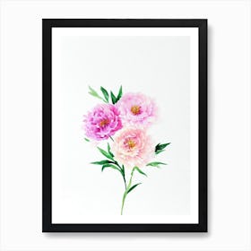 Peony 2 Watercolour Flower Art Print