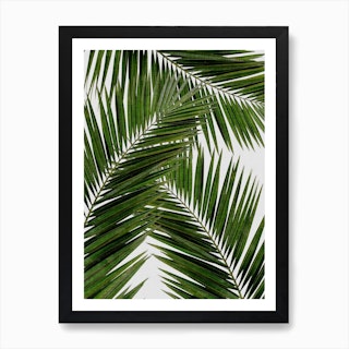 Palm Leaf III Art Print