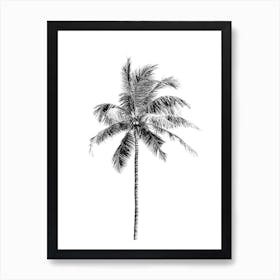 Palm Tree Art Print