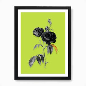 Vintage Purple Roses Black and White Gold Leaf Floral Art on Chartreuse n.1185 Art Print