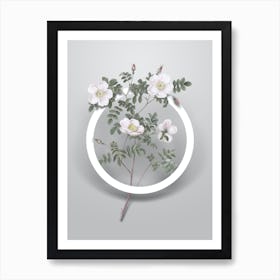Vintage White Candolle's Rose Minimalist Flower Geometric Circle on Soft Gray n.0137 Art Print