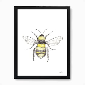 Watercolour Honeybee Art Print