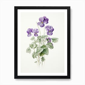 Violets Flower Vintage Botanical 2 Art Print