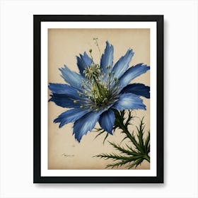 Blue Cosmos 1 Art Print