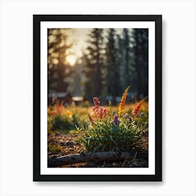 Wildflowers At Sunrise Art Print