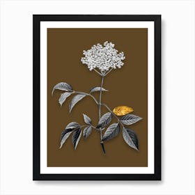 Vintage Elderflower Tree Black and White Gold Leaf Floral Art on Coffee Brown n.0959 Art Print