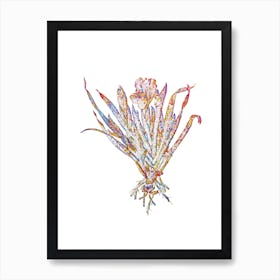 Stained Glass Crimean Iris Mosaic Botanical Illustration on White Art Print