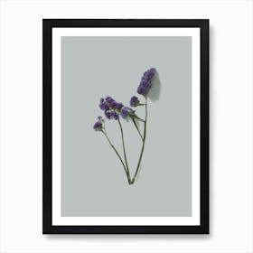 Violet Little Flowers I Art Print