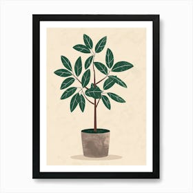 Money Tree Plant Minimalist Illustration 6 Art Print