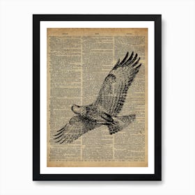Eagle Bird Art Print