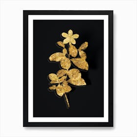 Vintage Gardenia Botanical in Gold on Black n.0448 Art Print